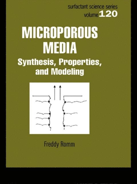 Freddy Romm - Microporous Media, E-bok