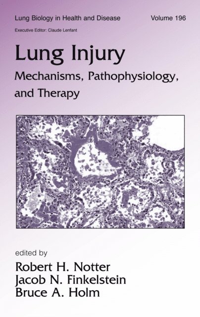 Bruce Holm, Jacob Finkelstein, Robert H. Notter - Lung Injury, E-bok