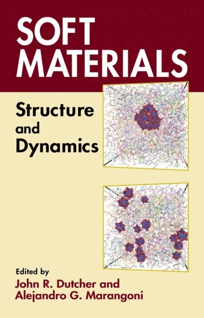 Alejandro G. Marangoni, John R. Dutcher - Soft Materials, E-bok