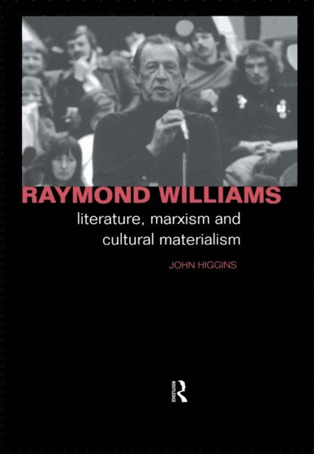 John Higgins - Raymond Williams, E-bok
