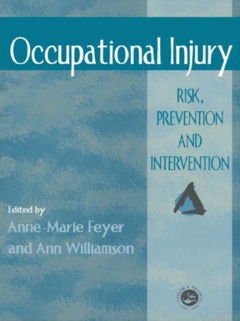 A Williamson, Anne Marie Feyer - Occupational Injury, E-bok