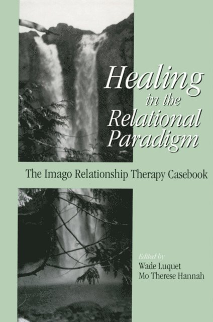 Mo Therese Hannah, Wade Luquet - Healing in the Relational Paradigm, E-bok