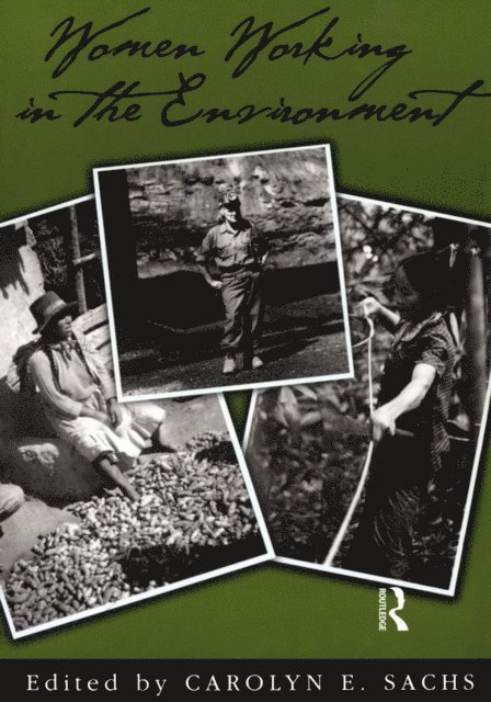 Carolyn E. Sachs - Women Working In The Environment, E-bok