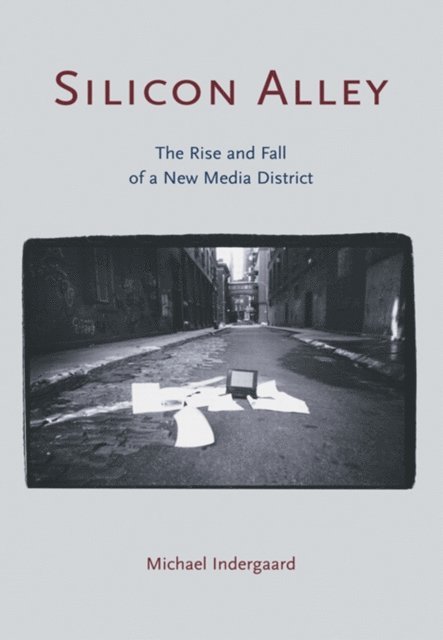 Michael Indergaard - Silicon Alley, E-bok