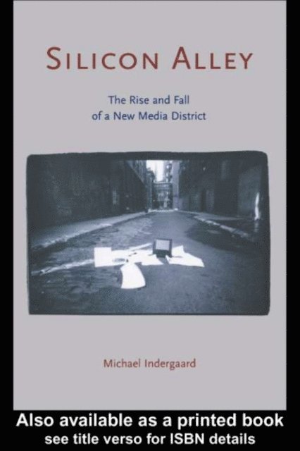 Michael Indergaard - Silicon Alley, E-bok