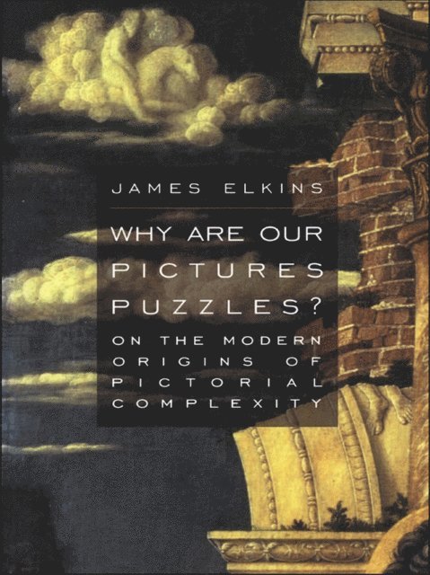 James Elkins - Why Are Our Pictures Puzzles?, E-bok