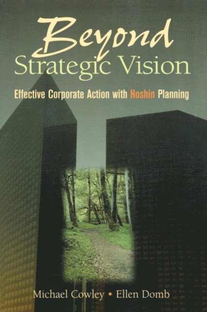 Ellen Domb, Michael Cowley - Beyond Strategic Vision, E-bok
