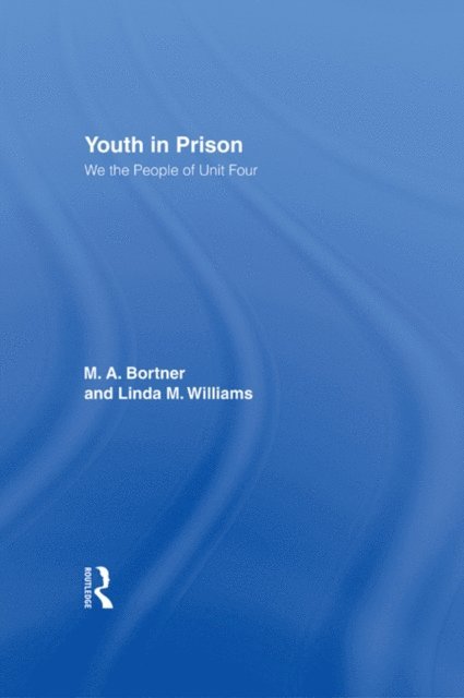 Linda Williams, M. A. Bortner - Youth in Prison, E-bok