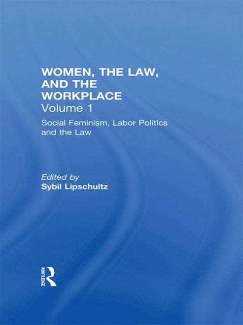 Sybil Lipschultz - Social Feminism, Labor Politics, and the Law, E-bok
