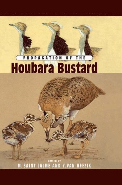 Y. Van Heezik, M. Saint Jalme - Propagation Of The Houbara Bustard, E-bok