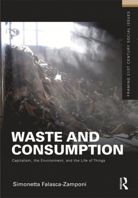 Simonetta Falasca-Zamponi - Waste and Consumption, E-bok