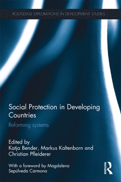 Christian Pfleiderer, Markus Kaltenborn, Katja Bender - Social Protection in Developing Countries, E-bok