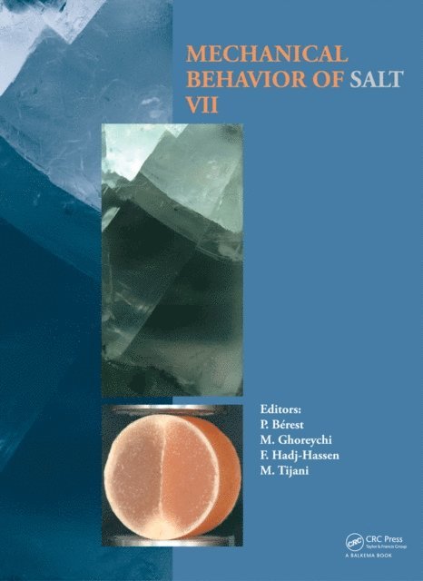 Michel Tijani, Faouzi Hadj-Hassen, Mehdi Ghoreychi, Pierre Berest - Mechanical Behaviour of Salt VII, E-bok. Tillgänglighet: Lägg i varukorg