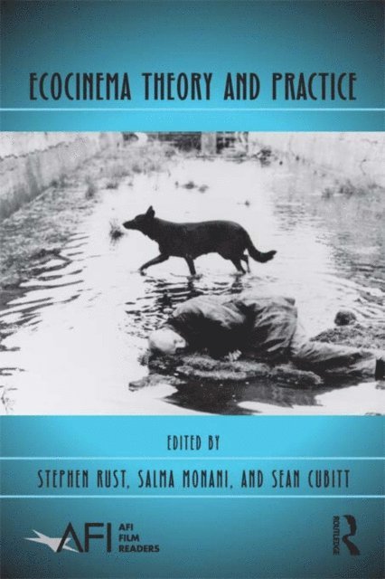 Sean Cubitt, Salma Monani, Stephen Rust - Ecocinema Theory and Practice, E-bok