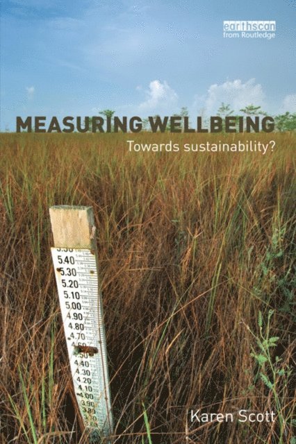 Karen Scott - Measuring Wellbeing: Towards Sustainability?, E-bok