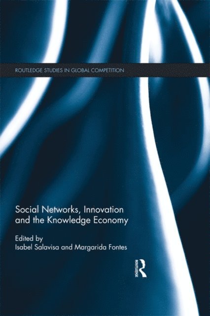 Margarida Fontes, Isabel Salavisa - Social Networks, Innovation and the Knowledge Economy, E-bok