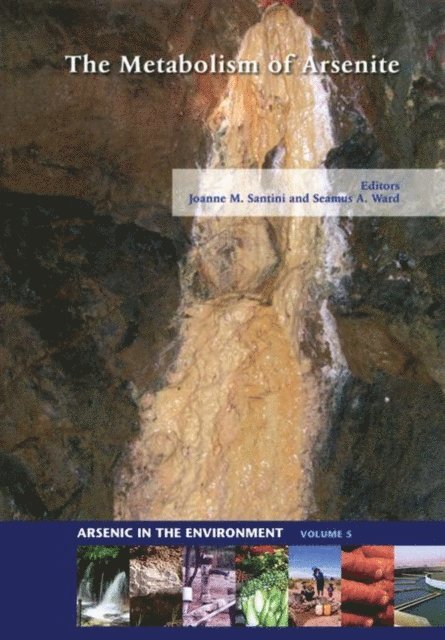 Seamus A. Ward, Joanne M. Santini - Metabolism of Arsenite, E-bok