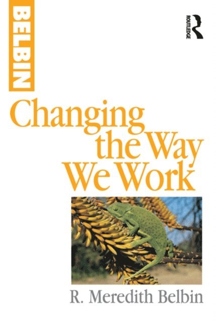 R Meredith Belbin - Changing the Way We Work, E-bok