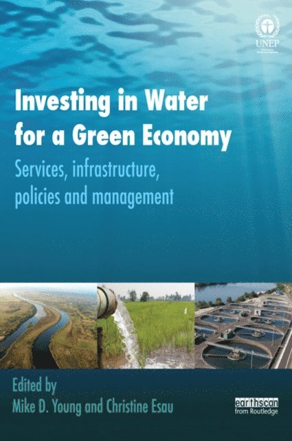 Christine Esau, Mike Young - Investing in Water for a Green Economy, E-bok