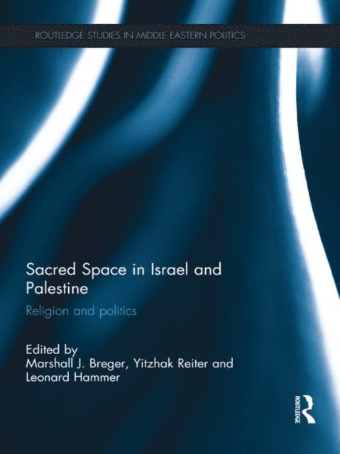 Leonard Hammer, Yitzhak Reiter, Marshall Breger - Sacred Space in Israel and Palestine, E-bok