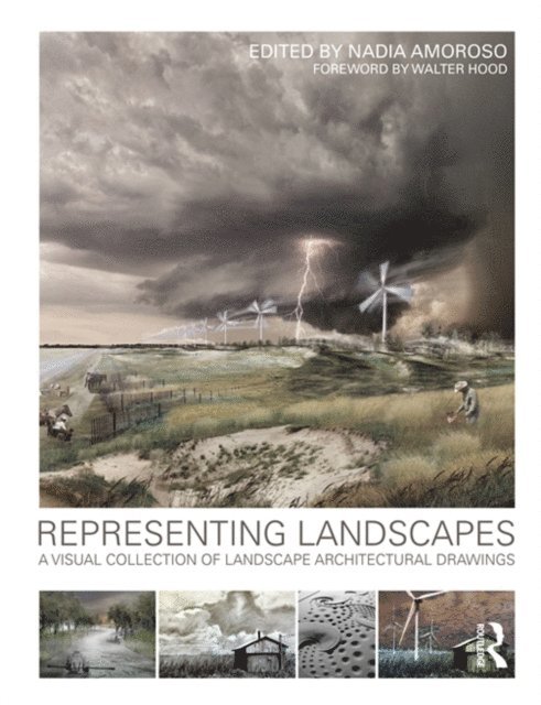 Nadia Amoroso - Representing Landscapes, E-bok