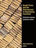 Small Firms and the Environment in Developing Countries
