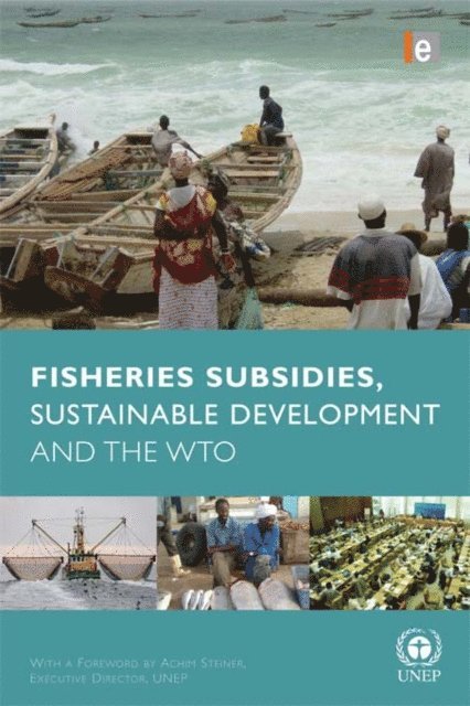 Anja von Moltke - Fisheries Subsidies, Sustainable Development and the WTO, E-bok
