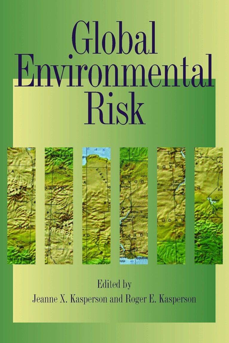Jeanne X. Kasperson, Roger E. Kasperson - Global Environmental Risk, E-bok