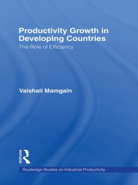 Vaishali Mamgain - Productivity Growth in Developing Countries, E-bok