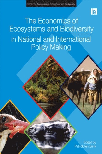 Patrick ten Brink - Economics of Ecosystems and Biodiversity in National and International Policy Making, E-bok