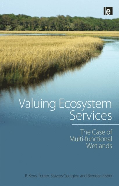 R. Kerry Turner, Stavros Georgiou - Valuing Ecosystem Services, E-bok