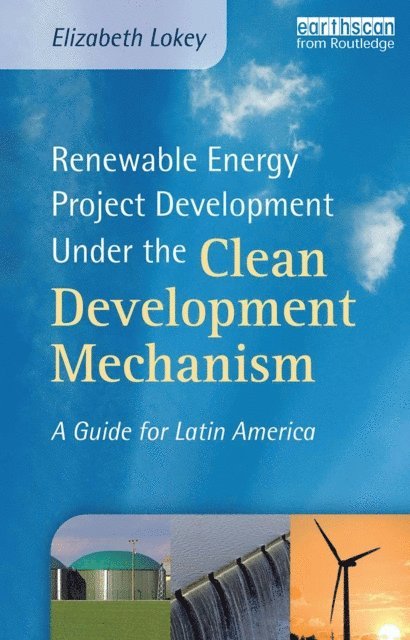 Elizabeth Lokey - Renewable Energy Project Development Under the Clean Development Mechanism, E-bok