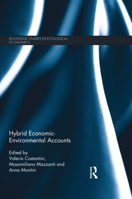 Anna Montini, Massimiliano Mazzanti, Valeria Costantini - Hybrid Economic-Environmental Accounts, E-bok