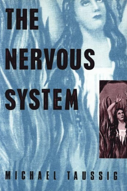 Michael Taussig - Nervous System, E-bok