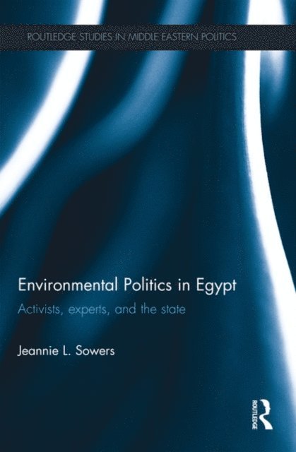 Jeannie Sowers - Environmental Politics in Egypt, E-bok