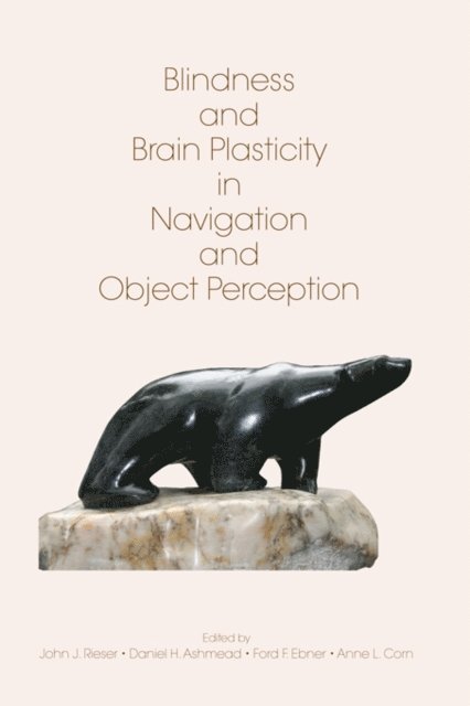 Anne L. Corn, Ford Ebner, Daniel H. Ashmead, John J. Rieser - Blindness and Brain Plasticity in Navigation and Object Perception, E-bok