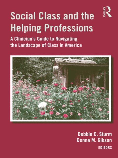 Donna M. Gibson, Deborah Crawford Sturm - Social Class and the Helping Professions, E-bok