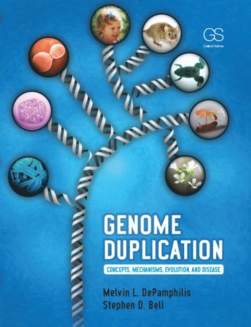 Stephen Bell, Melvin DePamphilis - Genome Duplication, E-bok