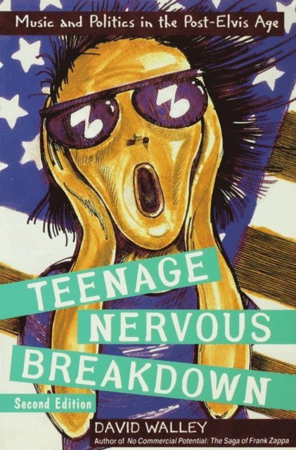 David Walley - Teenage Nervous Breakdown, E-bok
