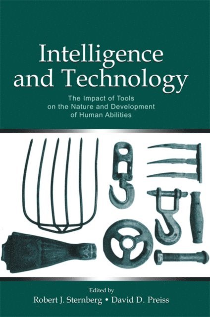 David D. Preiss, Robert J. Sternberg - Intelligence and Technology, E-bok