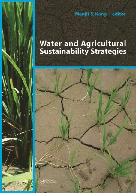 Manjit S Kang - Water and Agricultural Sustainability Strategies, E-bok