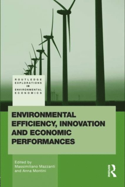 Massimiliano Mazzanti, Anna Montini - Environmental Efficiency, Innovation and Economic Performances, E-bok