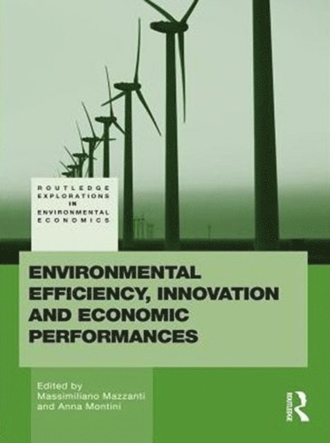 Massimiliano Mazzanti, Anna Montini - Environmental Efficiency, Innovation and Economic Performances, E-bok