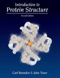 Introduction to Protein Structure
