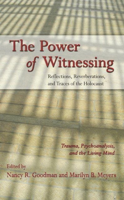 Marilyn B. Meyers, Nancy R. Goodman - Power of Witnessing, E-bok