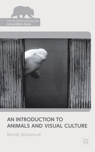 R. Malamud - Introduction to Animals and Visual Culture, E-bok
