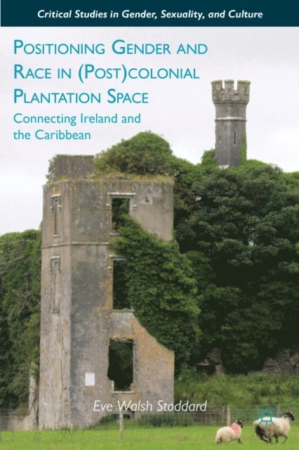 E. Stoddard - Positioning Gender and Race in (Post)colonial Plantation Space, E-bok