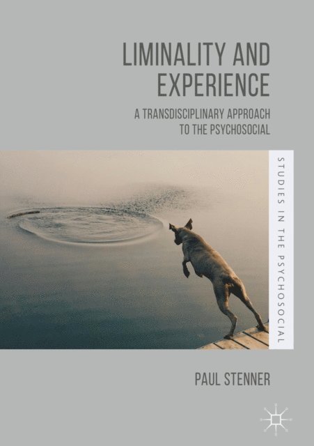Paul Stenner - Liminality and Experience, E-bok