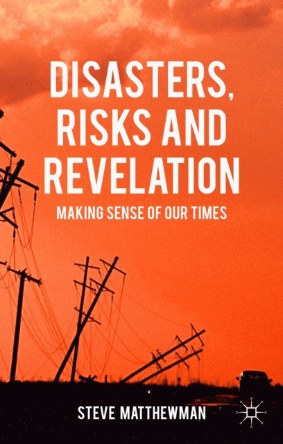 Steve Matthewman - Disasters, Risks and Revelation, E-bok