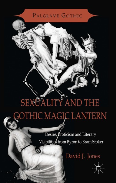 Sexuality and the Gothic Magic Lantern by D Jones, David J Jones